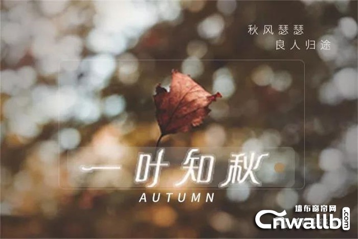 锦尚帛美墙布为你增添一份秋日的仪式感！