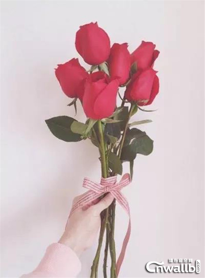 雅诗澜玫瑰墙布集爱与美于一身，诠释着生命的瑰丽！