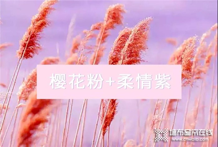 七特丽墙布B18-樱花粉+柔情紫，极致演绎浪漫！
