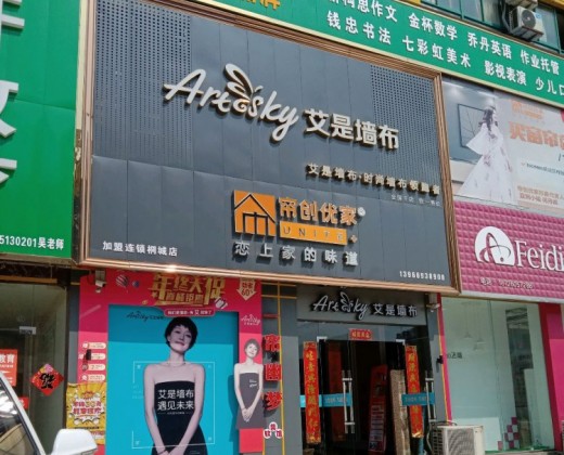 ARTSKY艾是.知色软装安徽安庆桐城专卖店