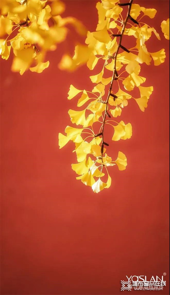 雅诗澜墙布窗帘--赭红色+象牙黄，许你一个大唐盛世，沉稳深邃，艳而不俗！