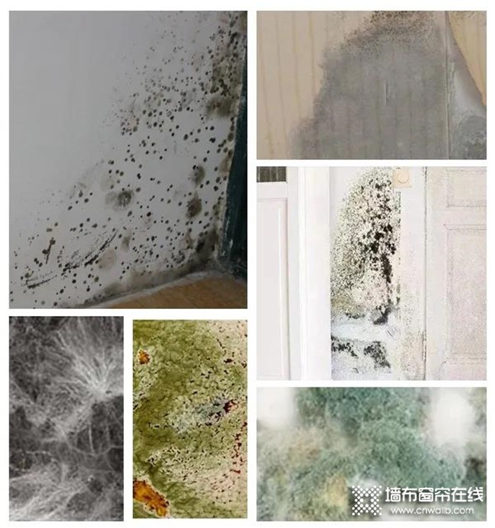 VISA全浸式除醛杀菌A级亲肤墙布，梅雨季“拯救”你家的墙面，拒绝发霉