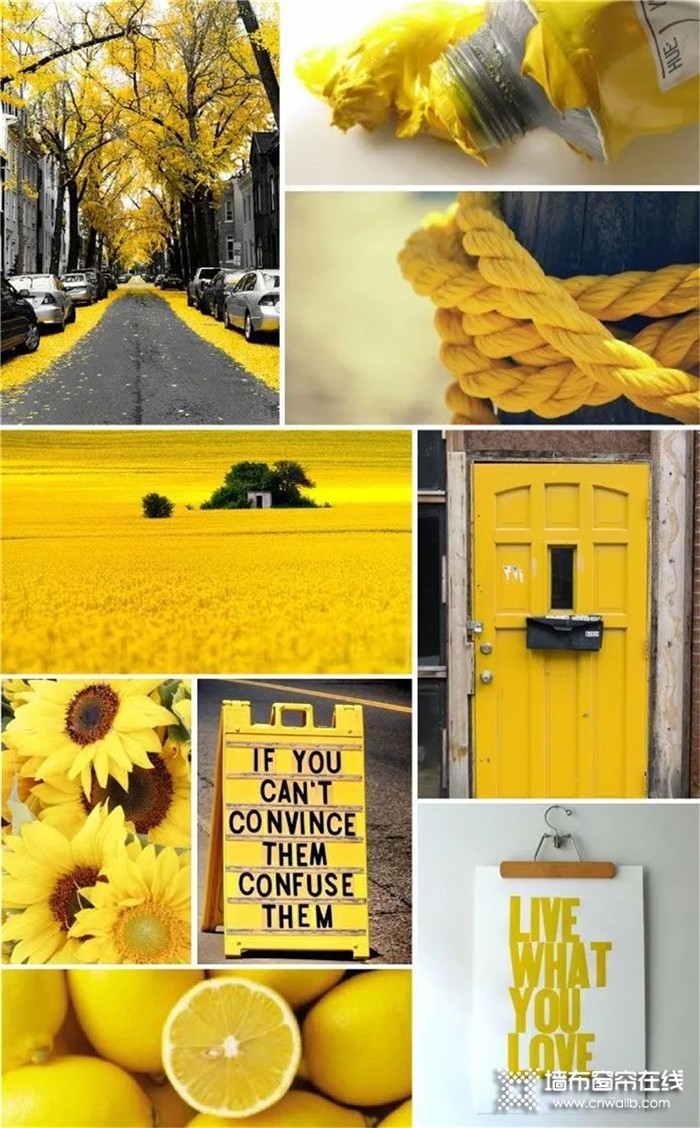 雅诗澜用明黄色为你创造一隅实实在在的“小确幸”，营造干净又浪漫的居住空间