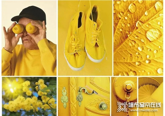 雅诗澜向日葵黄窗帘，带你走进梵高的色彩世界