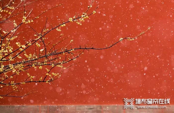 这片“红墙竹影”，莺牌用墙布渗透出浓厚的人文气息