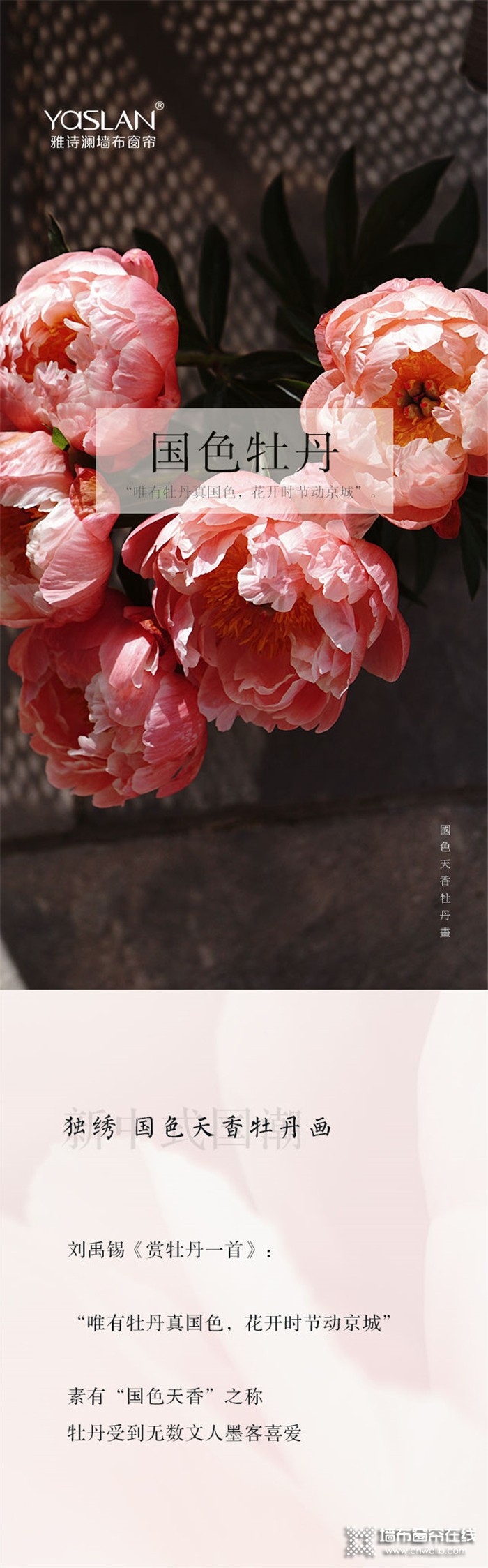 雅诗澜——国色天香牡丹画，为家居空间增添色彩