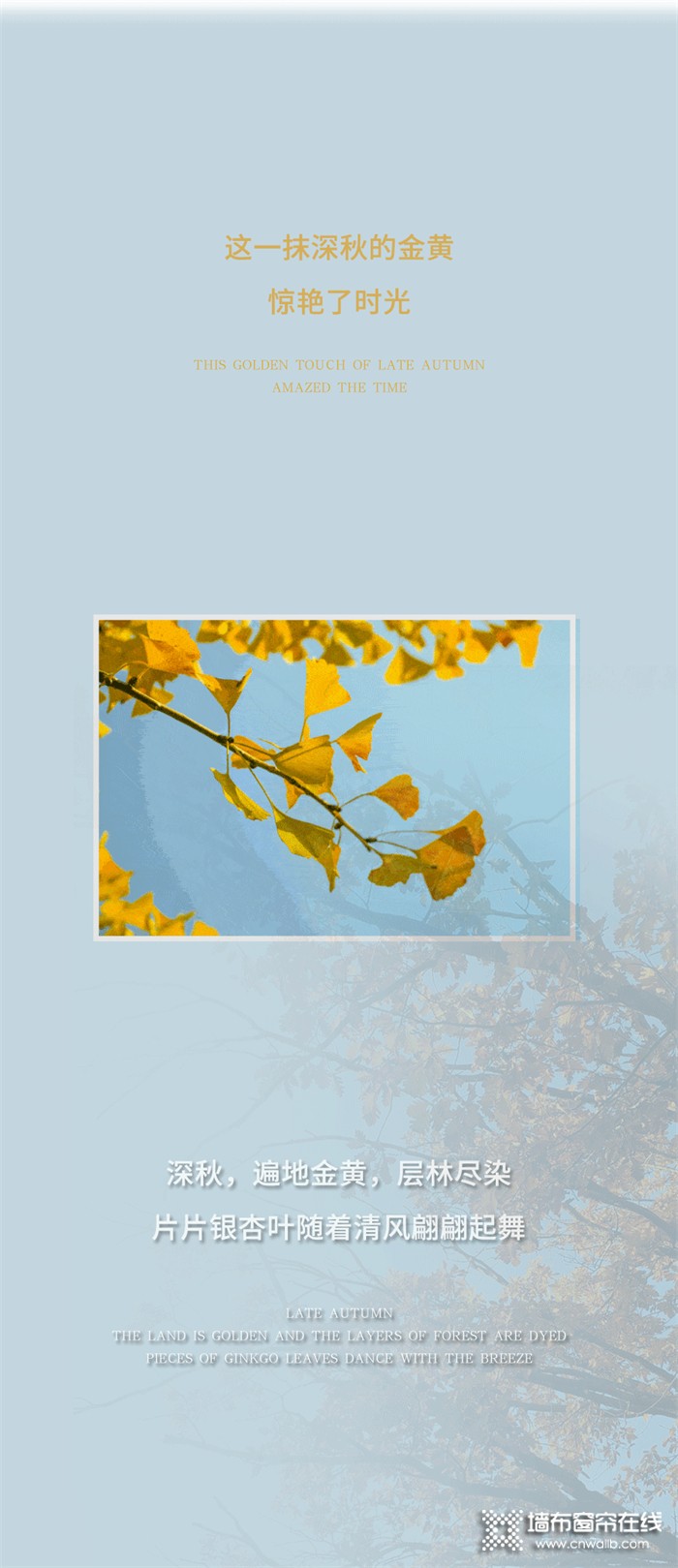 2022摩登野兽春季新品 | 染秋意：秋季的金黄，惊艳了时光