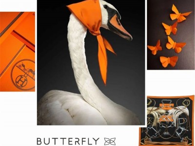 蝶装壁布——奢侈品级的橙色，瞬间俘获你的心